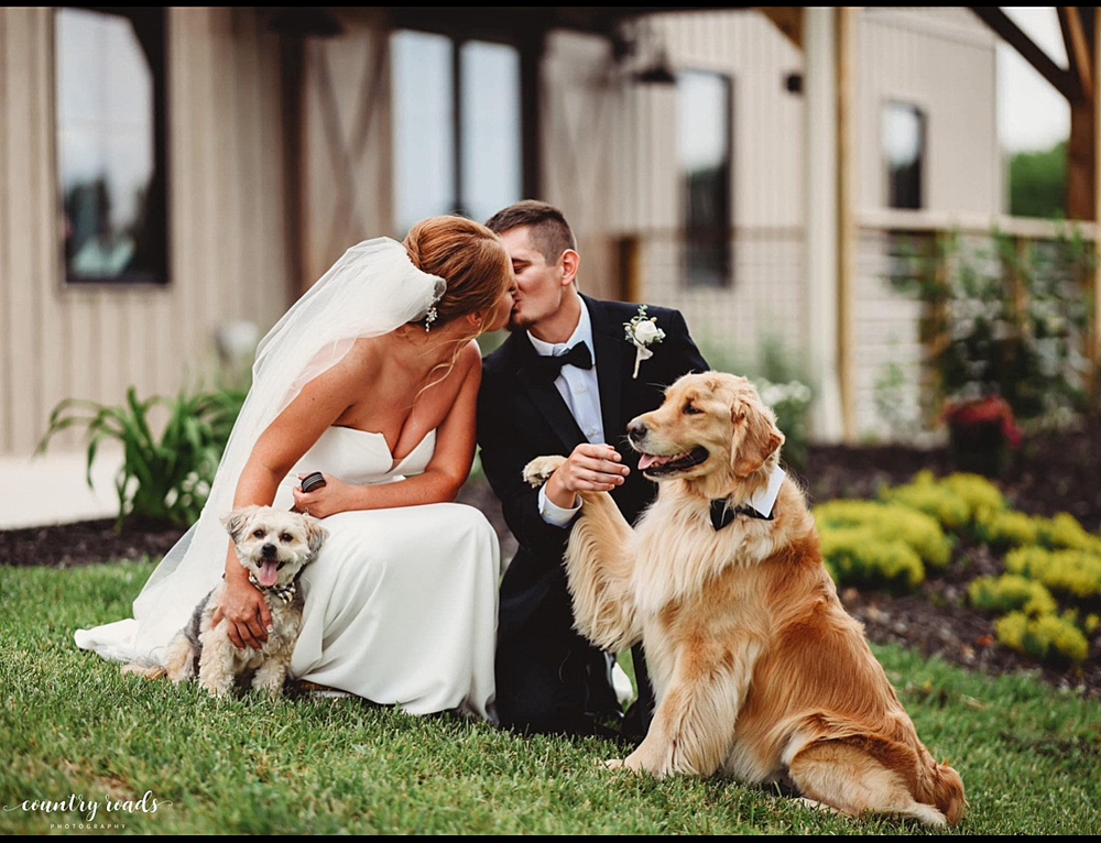 How to Include Your Pets in Your Wedding Day; Little Creek Barn; Modern Farmhouse Wedding Venue in Northwest Ohio